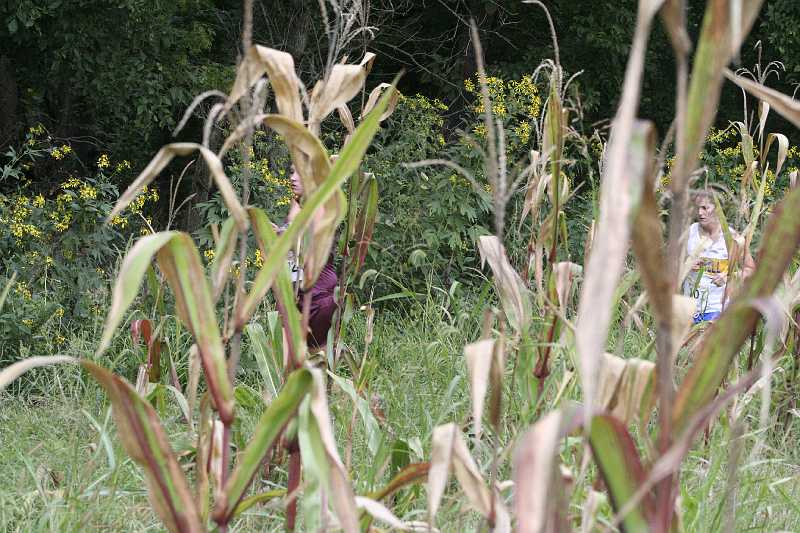 _MG_5162.JPG
